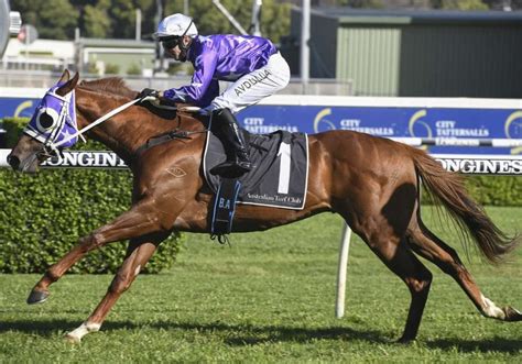 Bondi Stakes Archives .